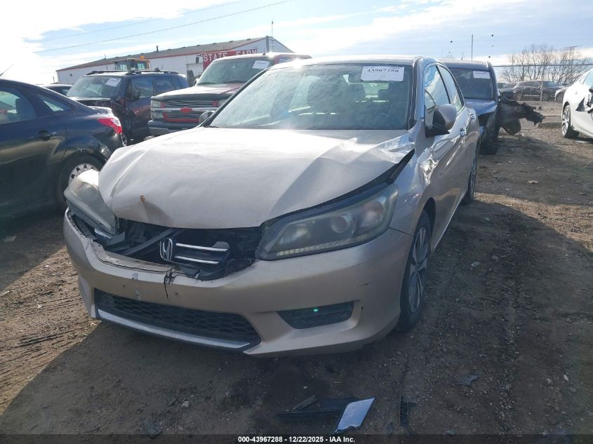 2014 Honda Accord Lx VIN: 1HGCR2F3XEA214142 Lot: 43967288