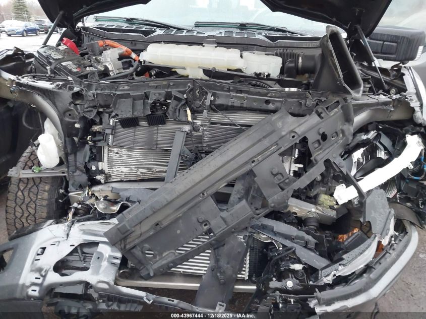 2024 Ford F-150 Xlt VIN: 1FTFW3LD9RFB94434 Lot: 43967444