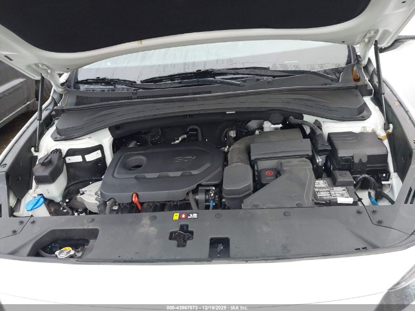 2020 Hyundai Santa Fe Sel VIN: 5NMS33AD5LH217504 Lot: 43967573