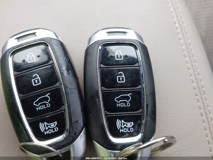 2020 Hyundai Santa Fe Sel VIN: 5NMS33AD5LH217504 Lot: 43967573