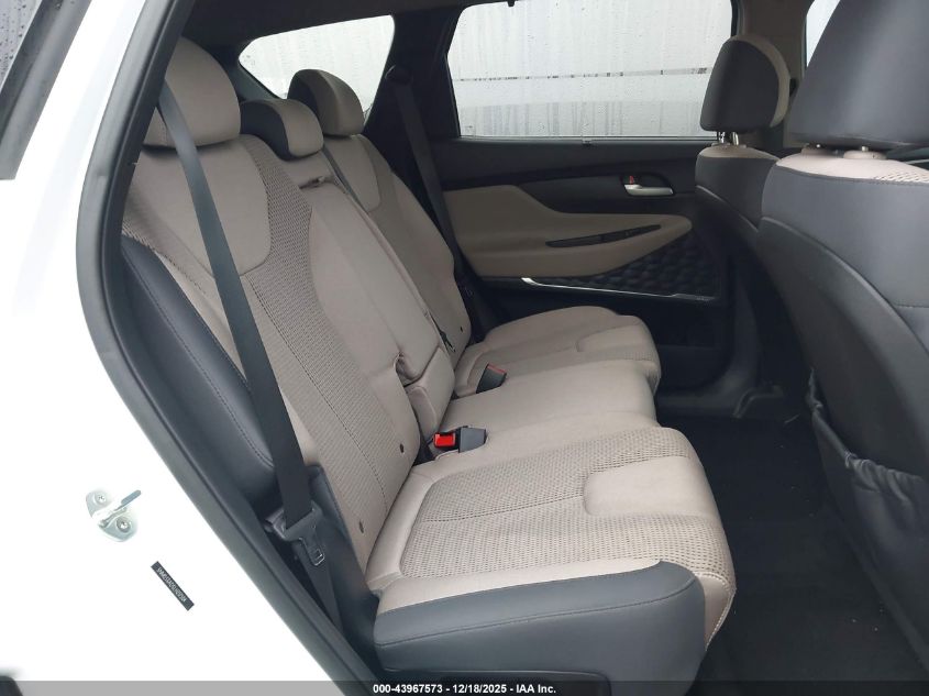 2020 Hyundai Santa Fe Sel VIN: 5NMS33AD5LH217504 Lot: 43967573