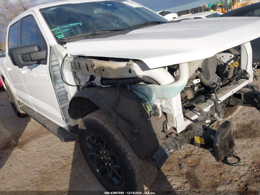 2024 Ford F-150 Xlt VIN: 1FTFW3L50RKF61320 Lot: 43967589