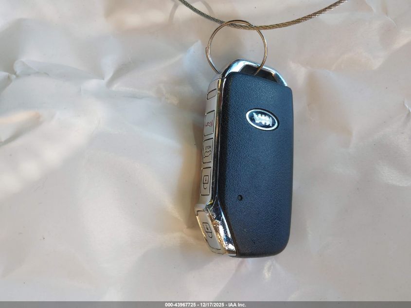 2020 Kia Telluride Sx VIN: 5XYP54HC9LG009333 Lot: 43967725