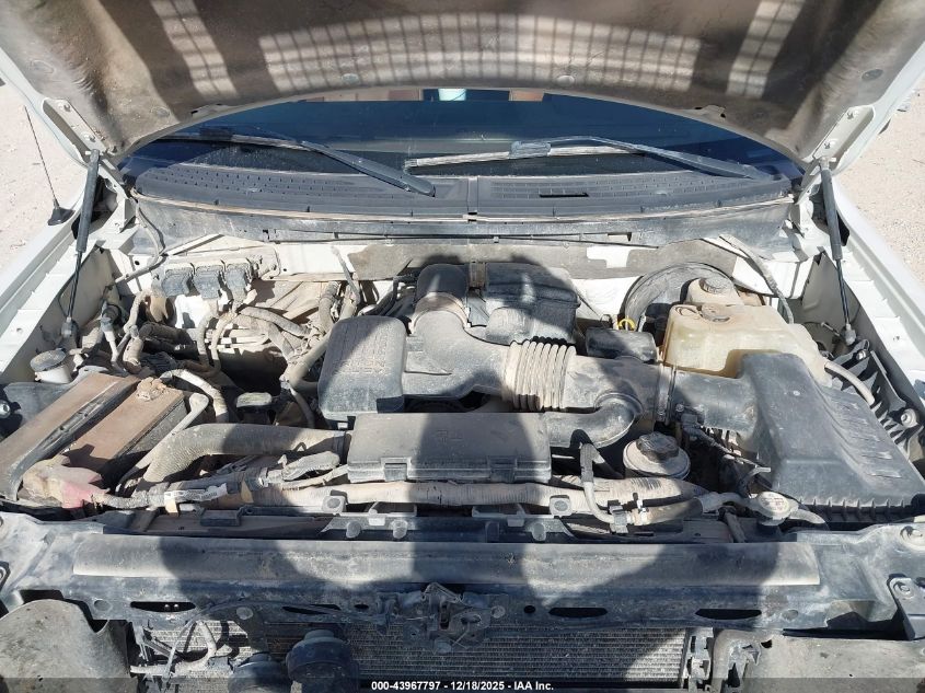 2009 Ford F-150 King Ranch VIN: 1FTPW14V89KC76310 Lot: 43967797