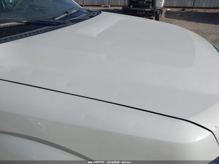 2009 Ford F-150 King Ranch VIN: 1FTPW14V89KC76310 Lot: 43967797