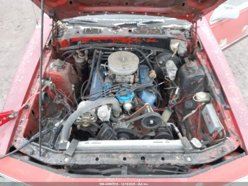 1985 Ford Thunderbird VIN: 1FABP4634FH126598 Lot: 43967818