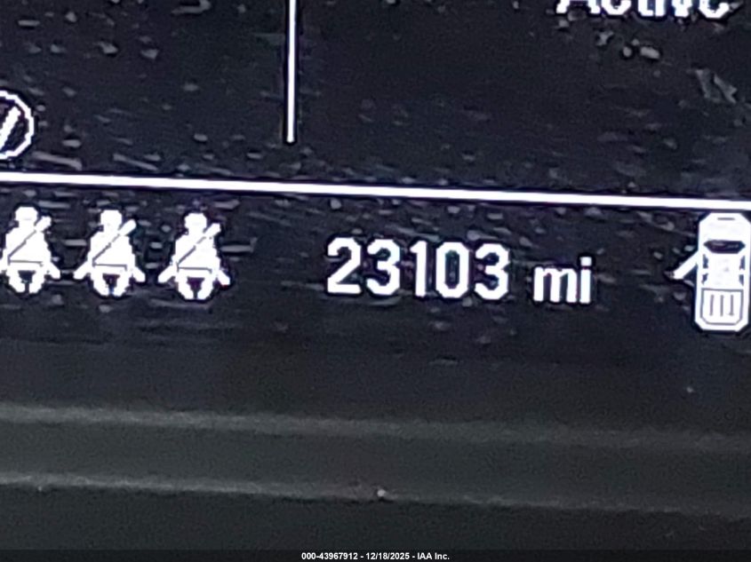 2024 Chevrolet Silverado 1500 4Wd Short Bed Custom Trail Boss VIN: 3GCUDCED8RG163264 Lot: 43967912