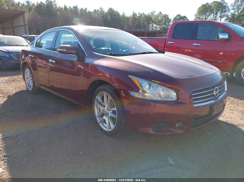 1N4AA5AP0BC824811 2011 Nissan Maxima 3.5 Sv auction photo 1