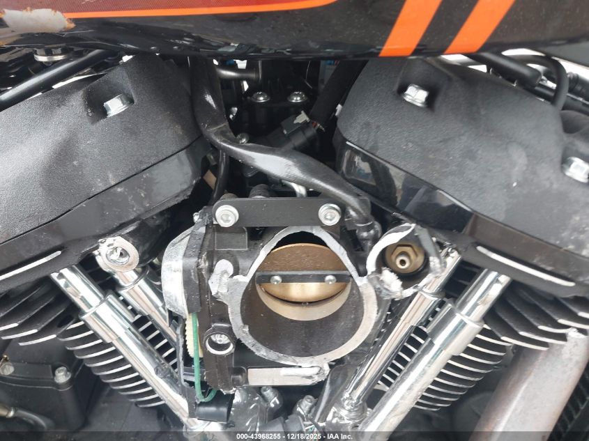 2022 Harley-Davidson Fxbbs VIN: 1HD1YYK17NB024176 Lot: 43968255