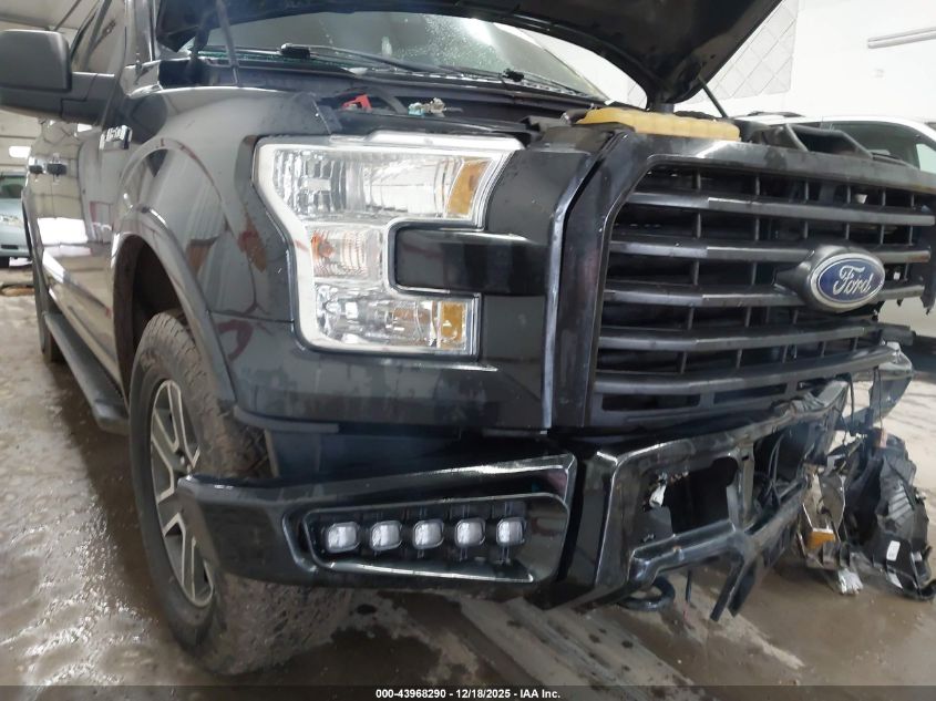 2015 Ford F-150 Xlt VIN: 1FTEW1EF9FKE49763 Lot: 43968290