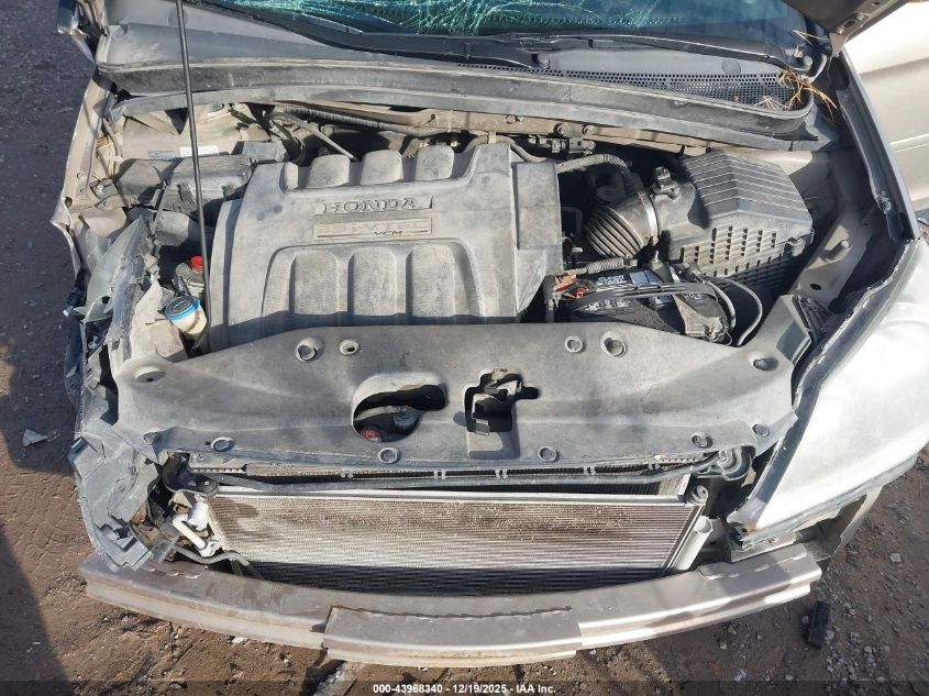 2007 Honda Odyssey Ex-L VIN: 5FNRL38787B444238 Lot: 43968340