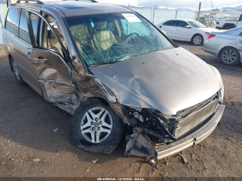 2007 Honda Odyssey Ex-L VIN: 5FNRL38787B444238 Lot: 43968340