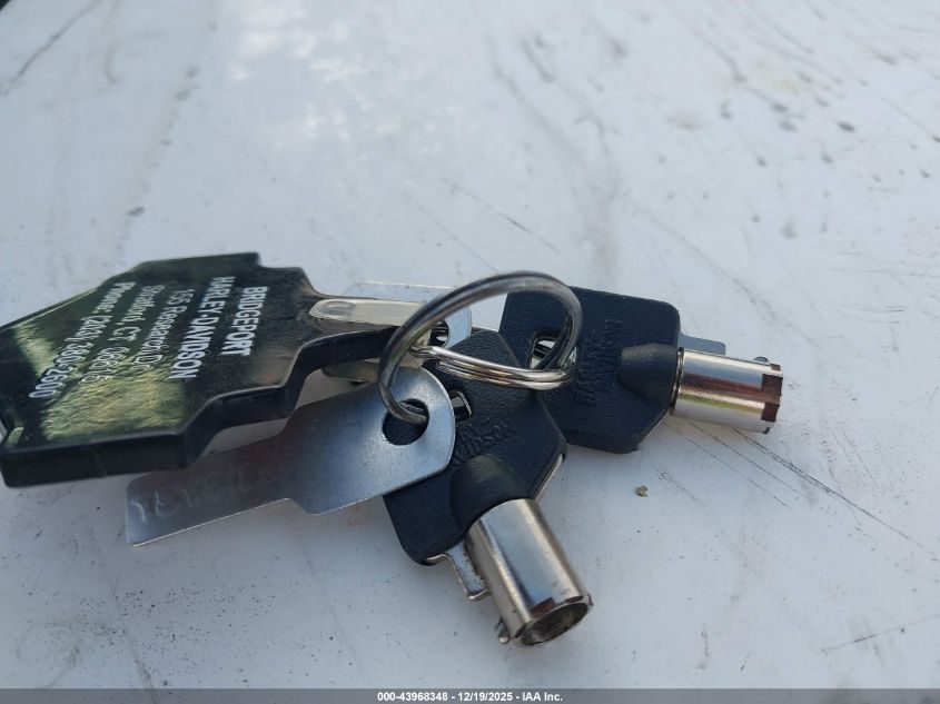 2002 Harley-Davidson Fxstbi VIN: 1HD1JAB132Y082967 Lot: 43968348