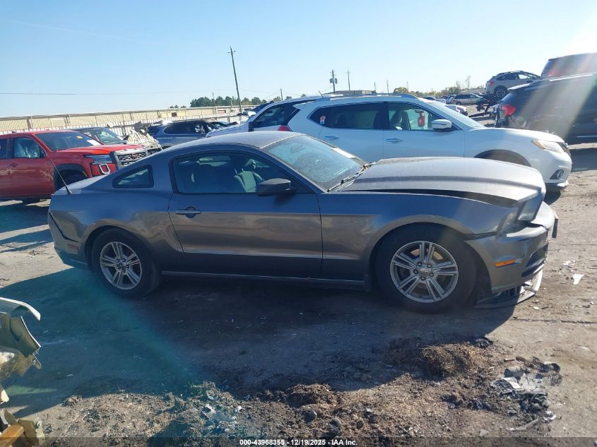 2014 Ford Mustang V6 VIN: 1ZVBP8AM9E5254303 Lot: 43968355