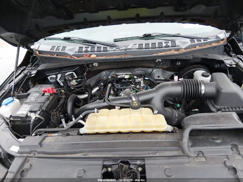 2020 Ford F-150 Xl VIN: 1FTEW1CP0LKD86494 Lot: 43968805