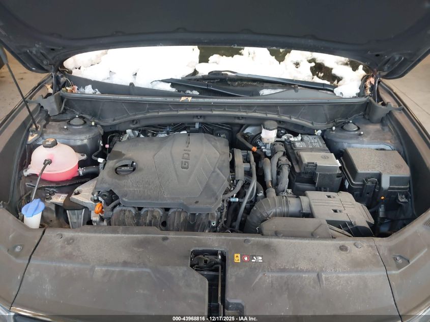 2023 Hyundai Tucson Sel VIN: 5NMJFCAE4PH226566 Lot: 43968816