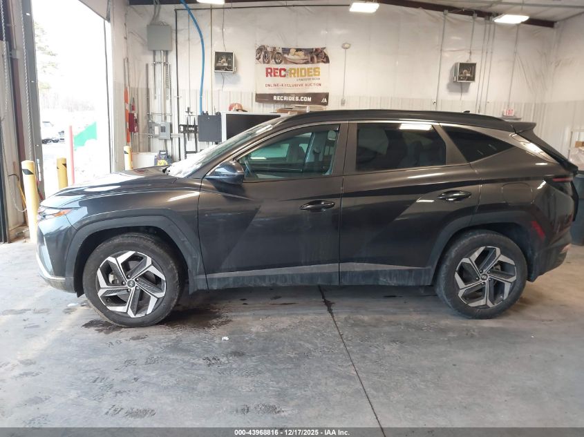2023 Hyundai Tucson Sel VIN: 5NMJFCAE4PH226566 Lot: 43968816