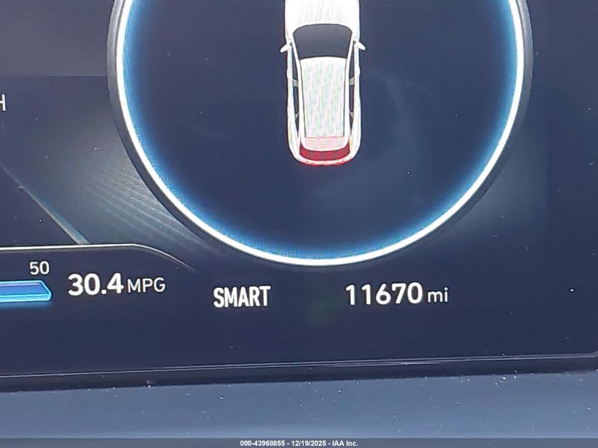 2024 Hyundai Tucson Limited VIN: 5NMJE3DE9RH390266 Lot: 43968855