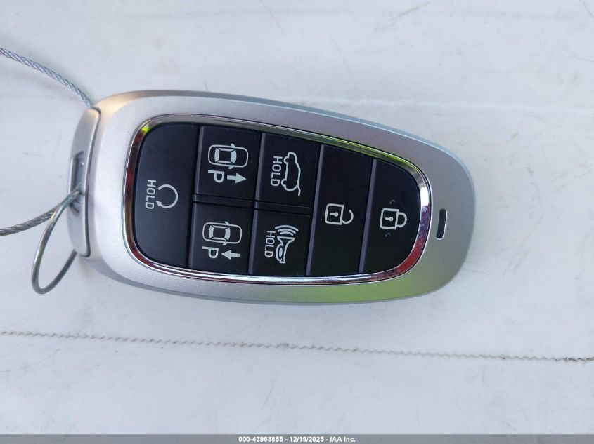 2024 Hyundai Tucson Limited VIN: 5NMJE3DE9RH390266 Lot: 43968855