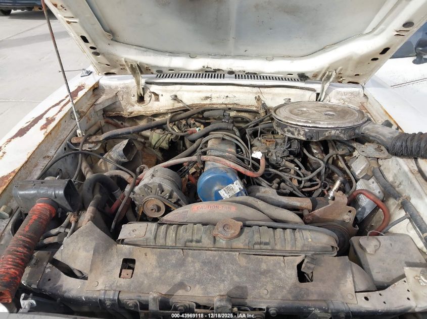 1978 Ford Mustang VIN: 8F03Y243061 Lot: 43969118