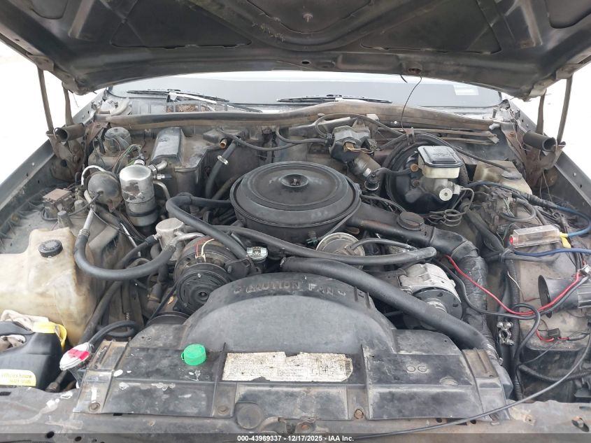 1983 Oldsmobile Delta 88 Royale VIN: 1G3AN69Y7DM716622 Lot: 43969337