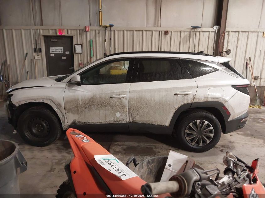 2022 Hyundai Tucson Preferred Awd With Trend Package VIN: KM8JCCAE7NU166423 Lot: 43969346