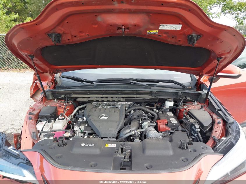 2023 Lexus Nx 350 Premium VIN: 2T2GGCEZ1PC023916 Lot: 43969407