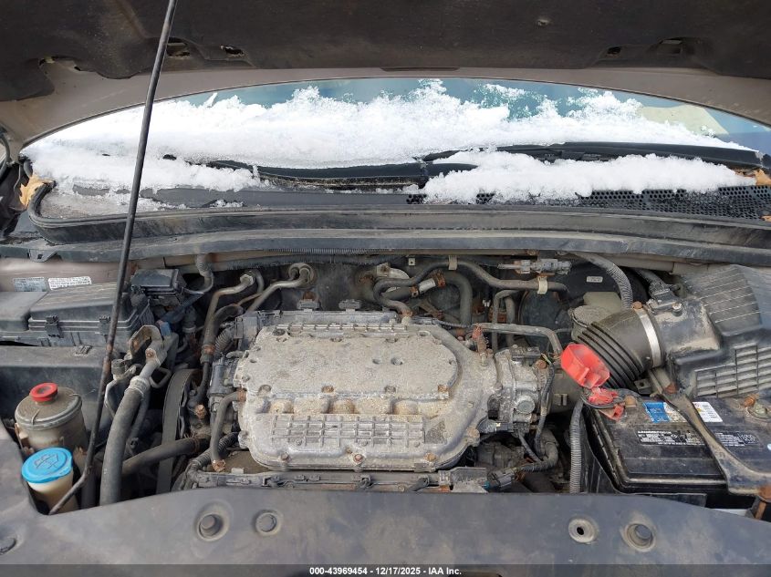 2007 Honda Odyssey Ex-L VIN: 5FNRL38707B068232 Lot: 43969454