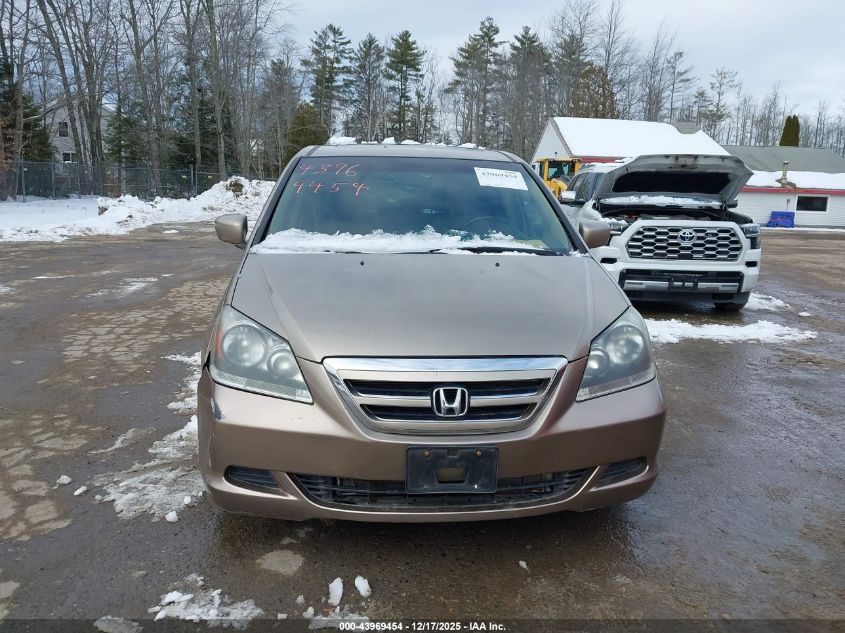 2007 Honda Odyssey Ex-L VIN: 5FNRL38707B068232 Lot: 43969454