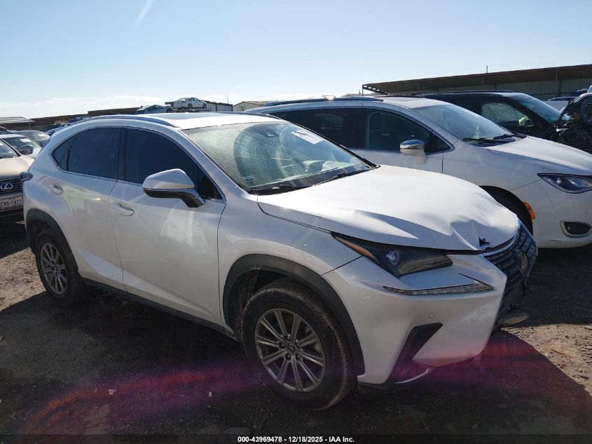 2021 Lexus Nx 300 VIN: JTJDARBZ1M5029544 Lot: 43969478