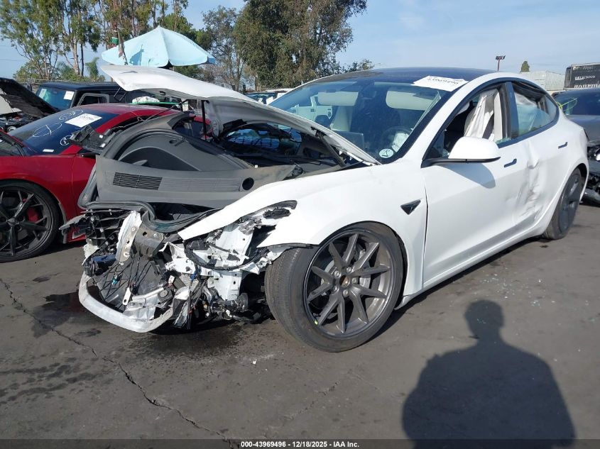 2023 Tesla Model 3 Rear-Wheel Drive VIN: 5YJ3E1EA2PF482200 Lot: 43969496