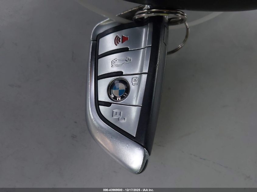 2020 BMW X7 xDrive40I VIN: 5UXCW2C07L9A03689 Lot: 43969500