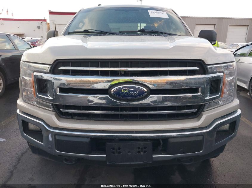 2018 Ford F-150 Xlt VIN: 1FTEW1EG4JFA49197 Lot: 43969799