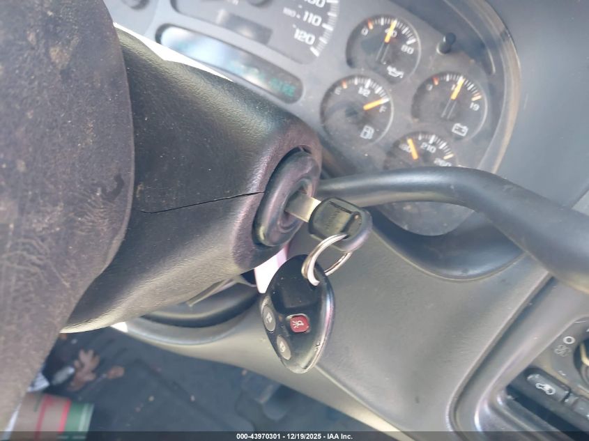 2003 Chevrolet Silverado 1500 Ls VIN: 2GCEC19V631294689 Lot: 43970301