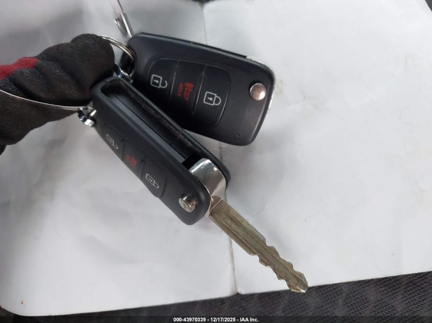 2013 Kia Soul VIN: KNDJT2A53D7596672 Lot: 43970339