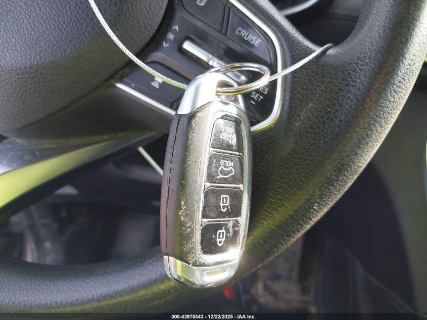 2019 Hyundai Santa Fe Sel VIN: 5NMS3CAD9KH044827 Lot: 43970343