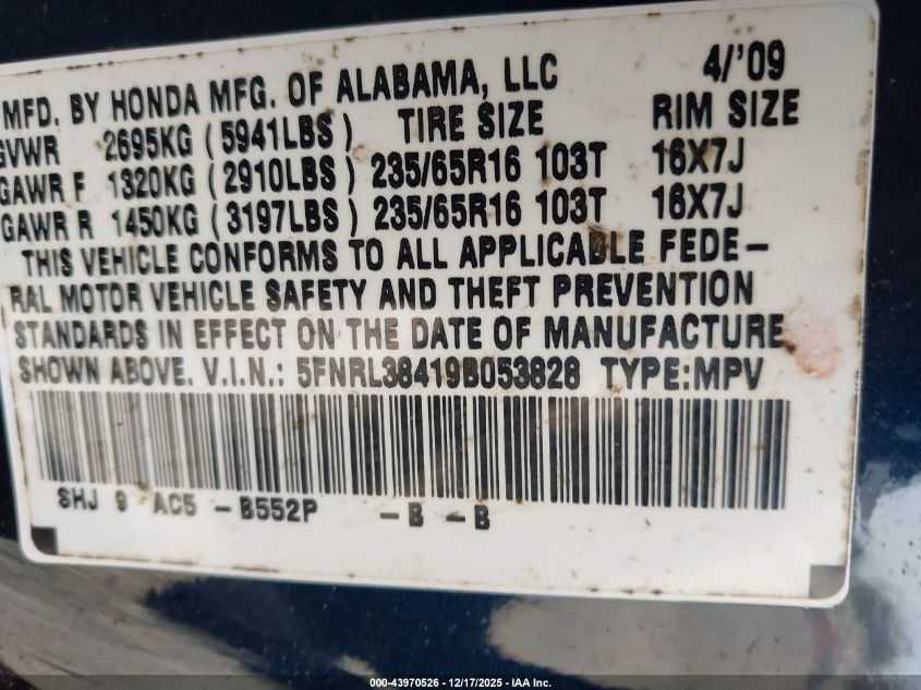 2009 Honda Odyssey Ex VIN: 5FNRL38419B053828 Lot: 43970526