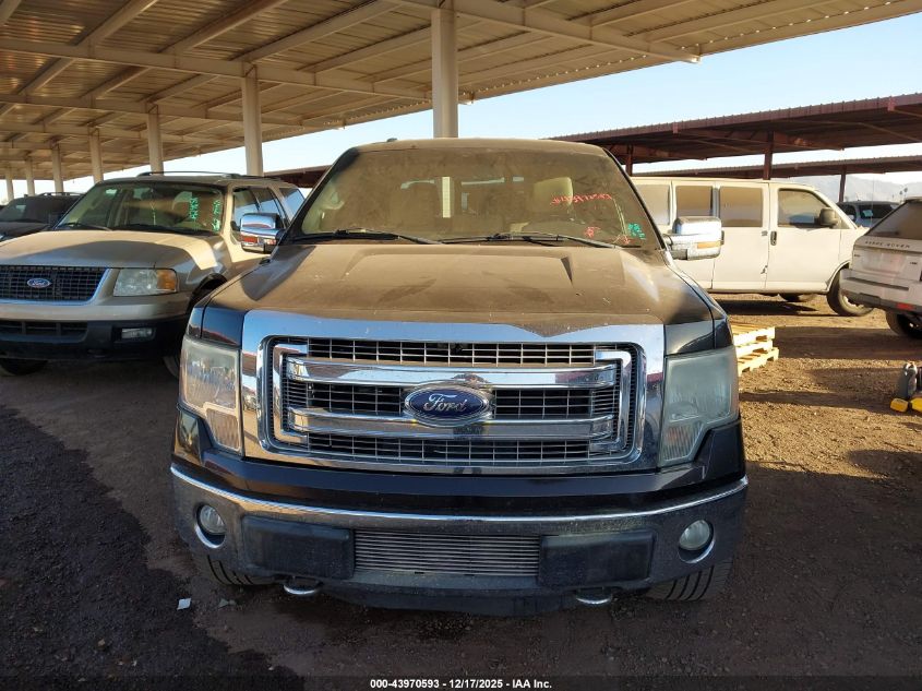 2013 Ford F-150 Xlt VIN: 1FTFW1ET7DKG38127 Lot: 43970593