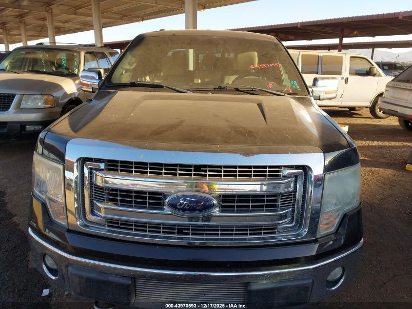 2013 Ford F-150 Xlt VIN: 1FTFW1ET7DKG38127 Lot: 43970593