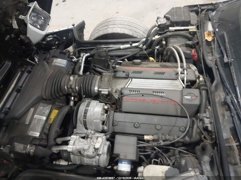 1995 Chevrolet Corvette VIN: 1G1YY22P7S5116943 Lot: 43970867