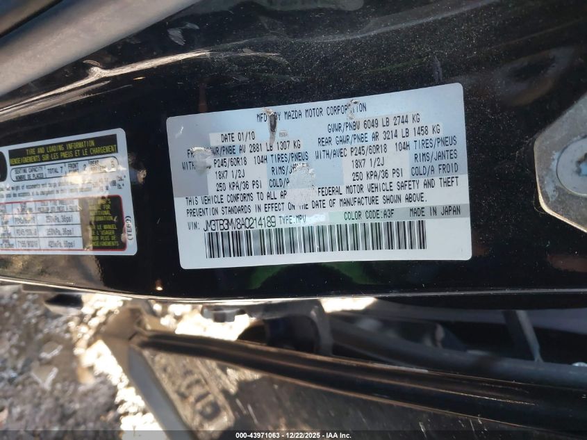 2010 Mazda Cx-9 Touring VIN: JM3TB3MV8A0214189 Lot: 43971063