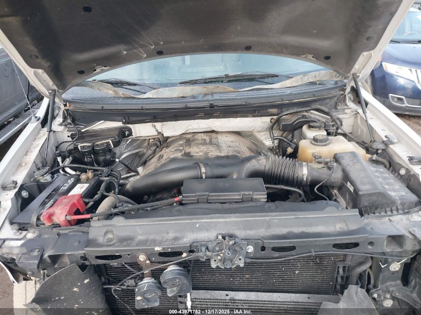 2012 Ford F-150 Xlt VIN: 1FTFX1ET9CFA93665 Lot: 43971752