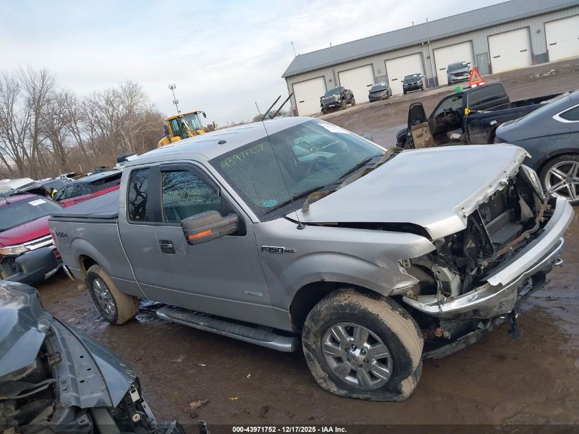 2012 Ford F-150 Xlt VIN: 1FTFX1ET9CFA93665 Lot: 43971752