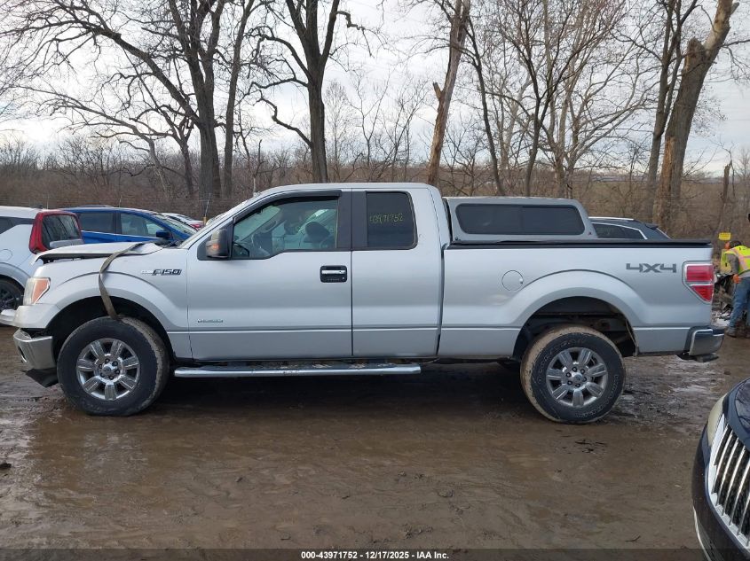 2012 Ford F-150 Xlt VIN: 1FTFX1ET9CFA93665 Lot: 43971752