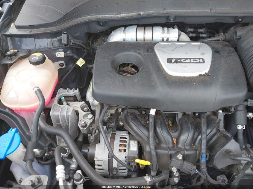 2021 Hyundai Kona Limited VIN: KM8K33A53MU744021 Lot: 43971796