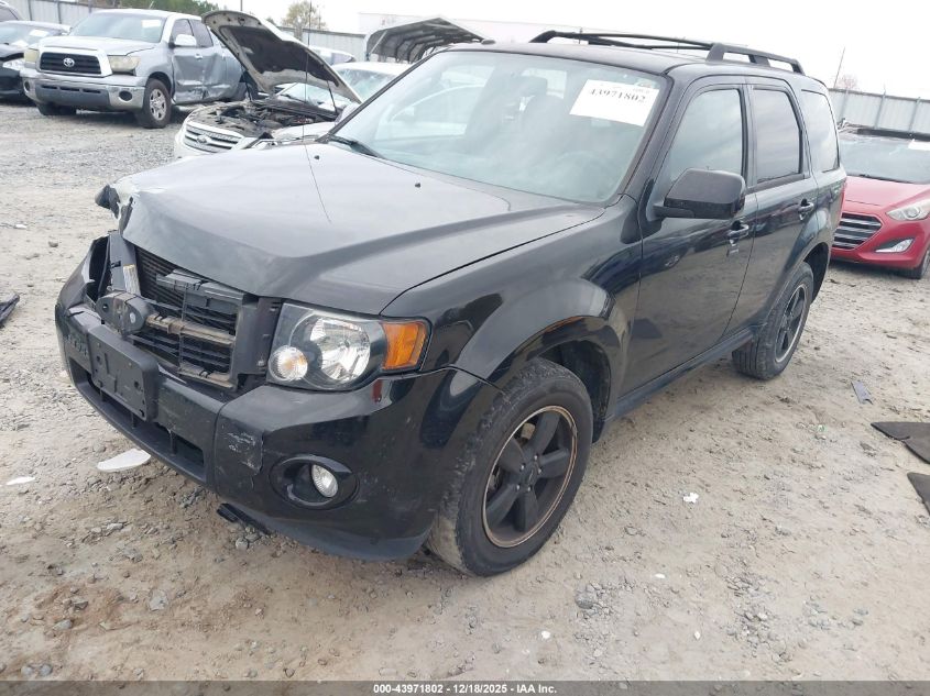 2010 Ford Escape Xlt VIN: 1FMCU0DG1AKB54596 Lot: 43971802