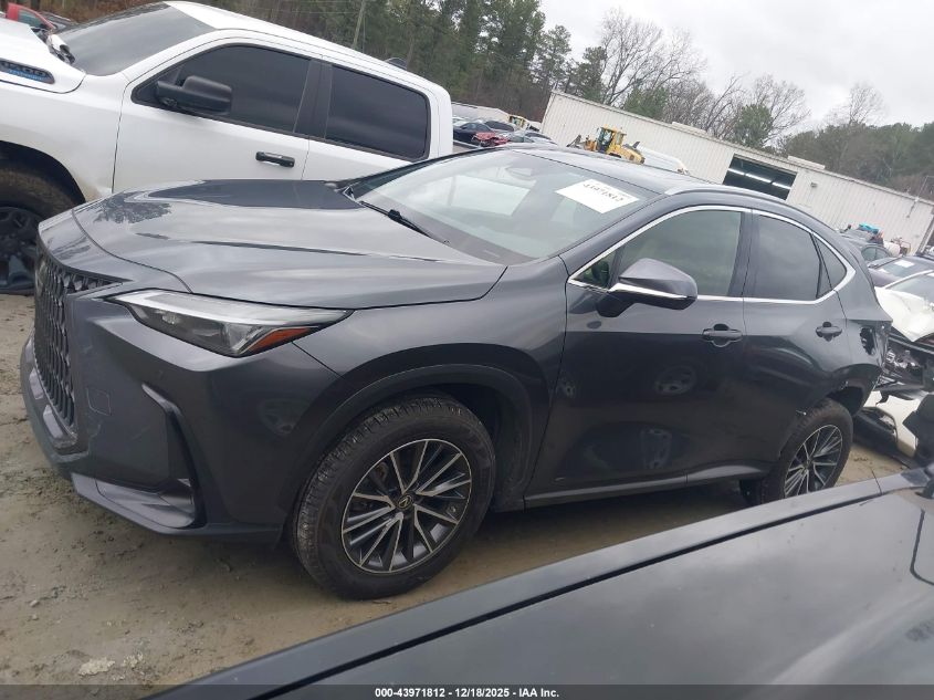2023 Lexus Nx 250 Premium VIN: JTJGDCAZ0P5013410 Lot: 43971812