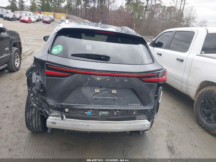 2023 Lexus Nx 250 Premium VIN: JTJGDCAZ0P5013410 Lot: 43971812