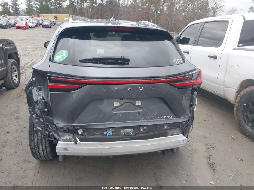 2023 Lexus Nx 250 Premium VIN: JTJGDCAZ0P5013410 Lot: 43971812