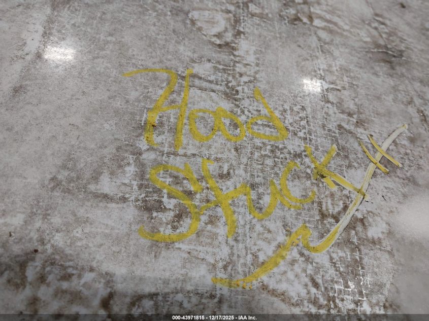 1997 Mercury Mountaineer VIN: 4M2DU55P5VUJ20234 Lot: 43971815